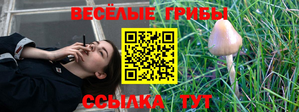 продажа наркотиков  Псилоцибиновые грибы Magic Shrooms  Тулун  Вход с VPN  Галлюциногенные грибы Magic Shrooms 