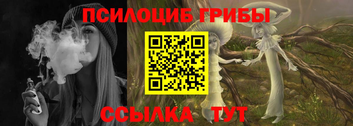 Галлюциногенные грибы Psilocybine cubensis Тулун